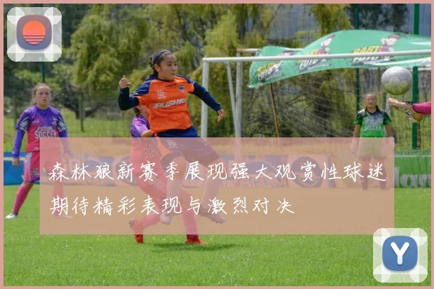 森林狼新赛季展现强大观赏性球迷期待精彩表现与激烈对决