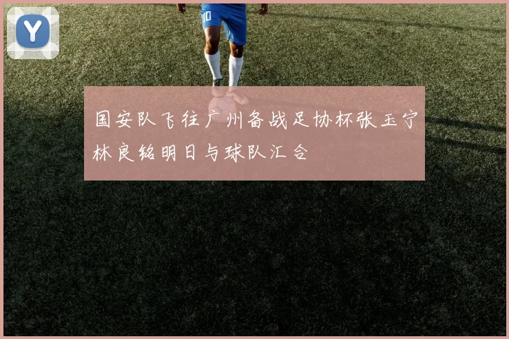 国安队飞往广州备战足协杯张玉宁林良铭明日与球队汇合
